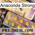 Anaconda Strong new06